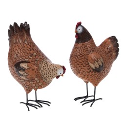 Poule Colette