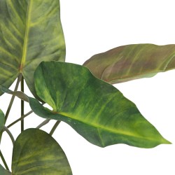 Anthurium 81 cm
