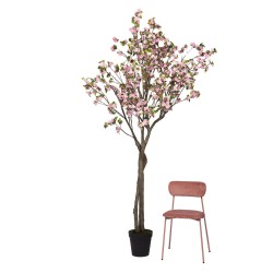Cerisier Superba 280 cm rose