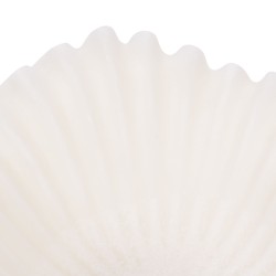 Coupe Alizée petit modèle