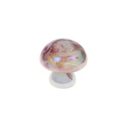 Champignon blanc prune Sulfure
