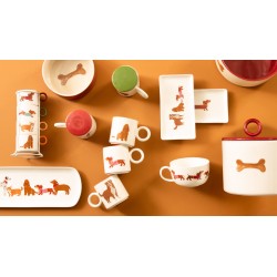Gamelle Ouaf 22,5 cm