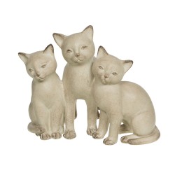 Famille chat crème