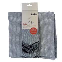 Set de 2 torchons bleu 32 x 32 cm