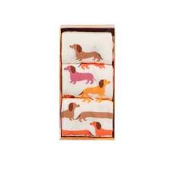 Coffret chaussette rétro Teckel