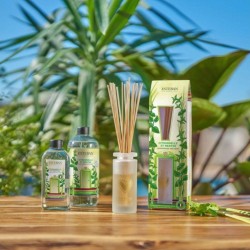 Bouquet Citronnelle Menthe 100 ml