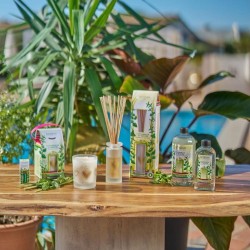 Vaporisateur Citronnelle Menthe 100 ml
