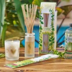 Encens 20 bâtonnets Citronnelle Menthe