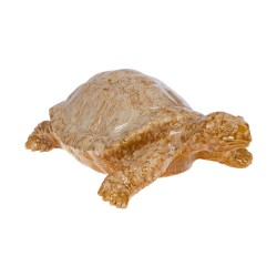 Tortue émail marron