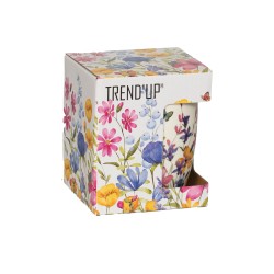 Coffret tisanière avec filtre Maia 36 cl