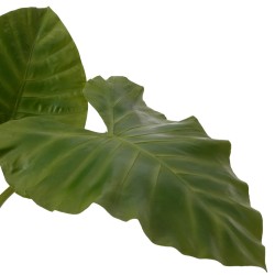Alocasia royal Hauteur 130 cm POT H22 D25