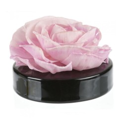Céramique noire 200 ml