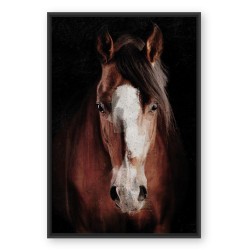 Toile cheval 80x120 cm