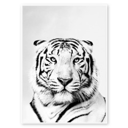 Toile tigre noir et blanc 80x120 cm