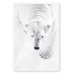 Toile ours polaire sur la banquise 60x80 cm