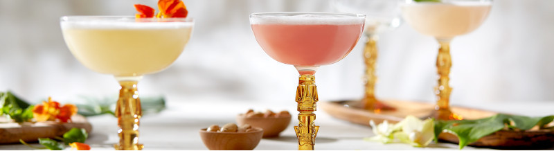 Cadomus  | verres spécifiques - Le meilleur choix pour sublimer vos boissons